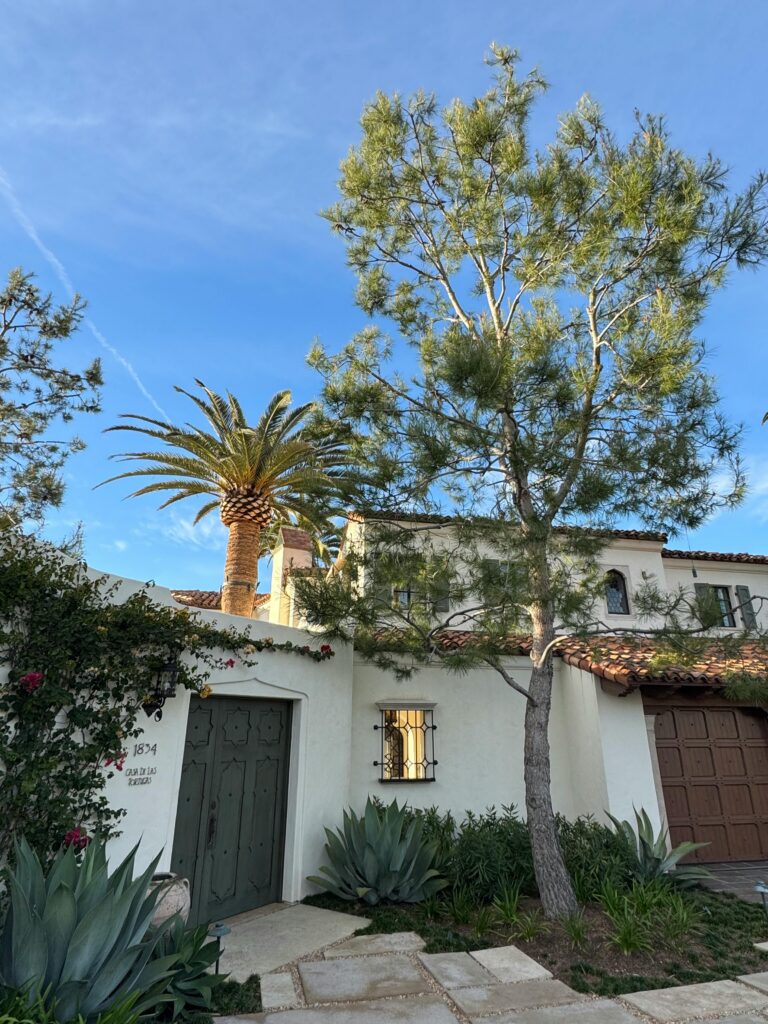 Luxury residential treatment home in San Juan Capistrano surrounded by palm trees and peaceful landscaping, offering private addiction recovery care in a calm Southern California setting.