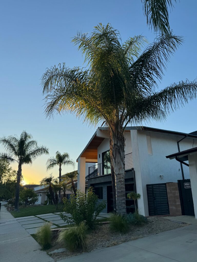 Modern residential treatment center in San Juan Capistrano with luxury housing, peaceful palm tree surroundings, and private addiction recovery accommodations in Southern California.