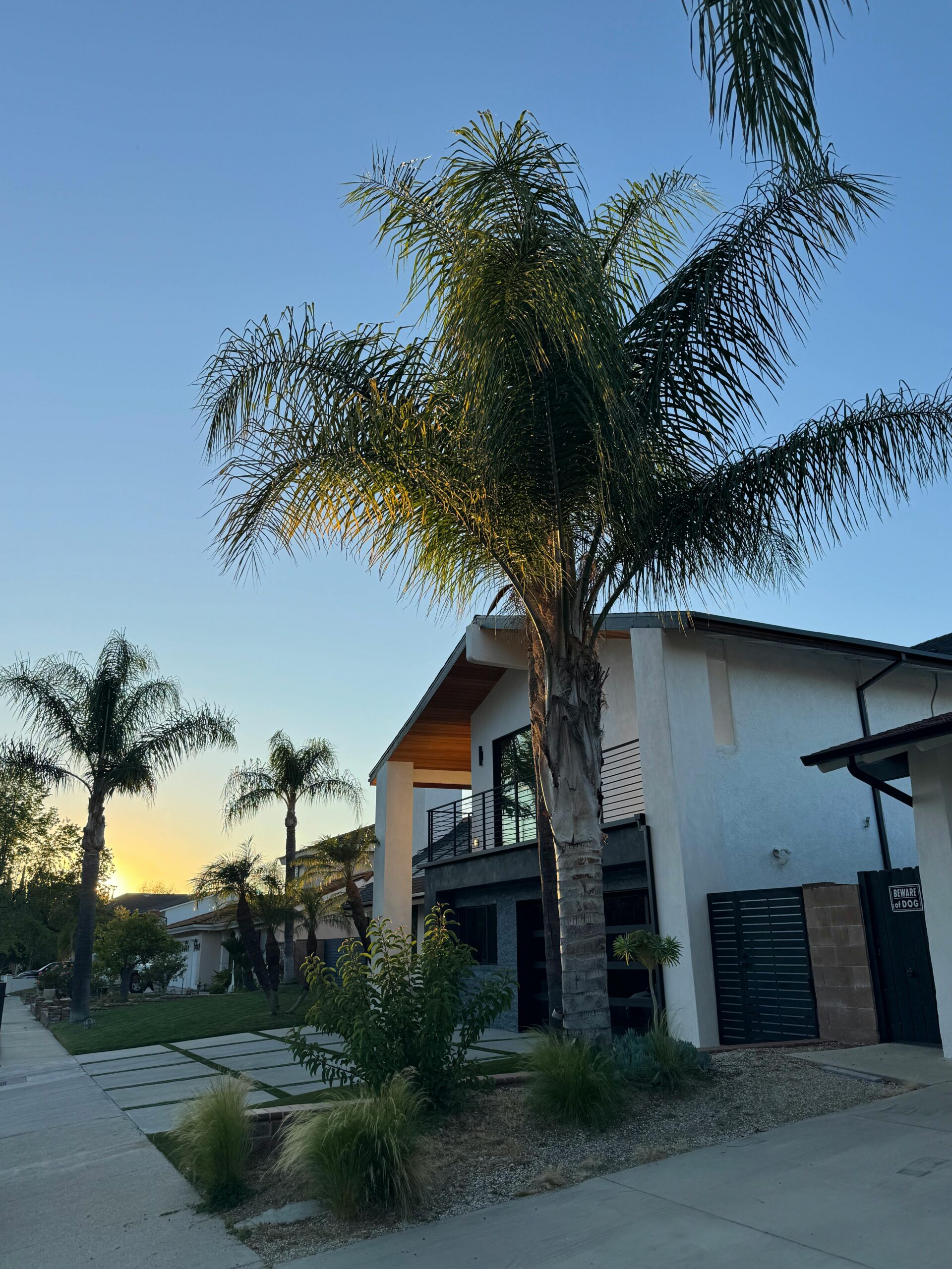Modern residential treatment center in San Juan Capistrano with luxury housing, peaceful palm tree surroundings, and private addiction recovery accommodations in Southern California.